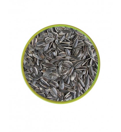 Sunflower Seed